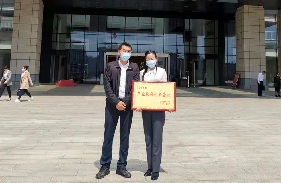 實力彰顯！全市工業(yè)振興大會召開，桂林鴻程斬獲多項榮譽